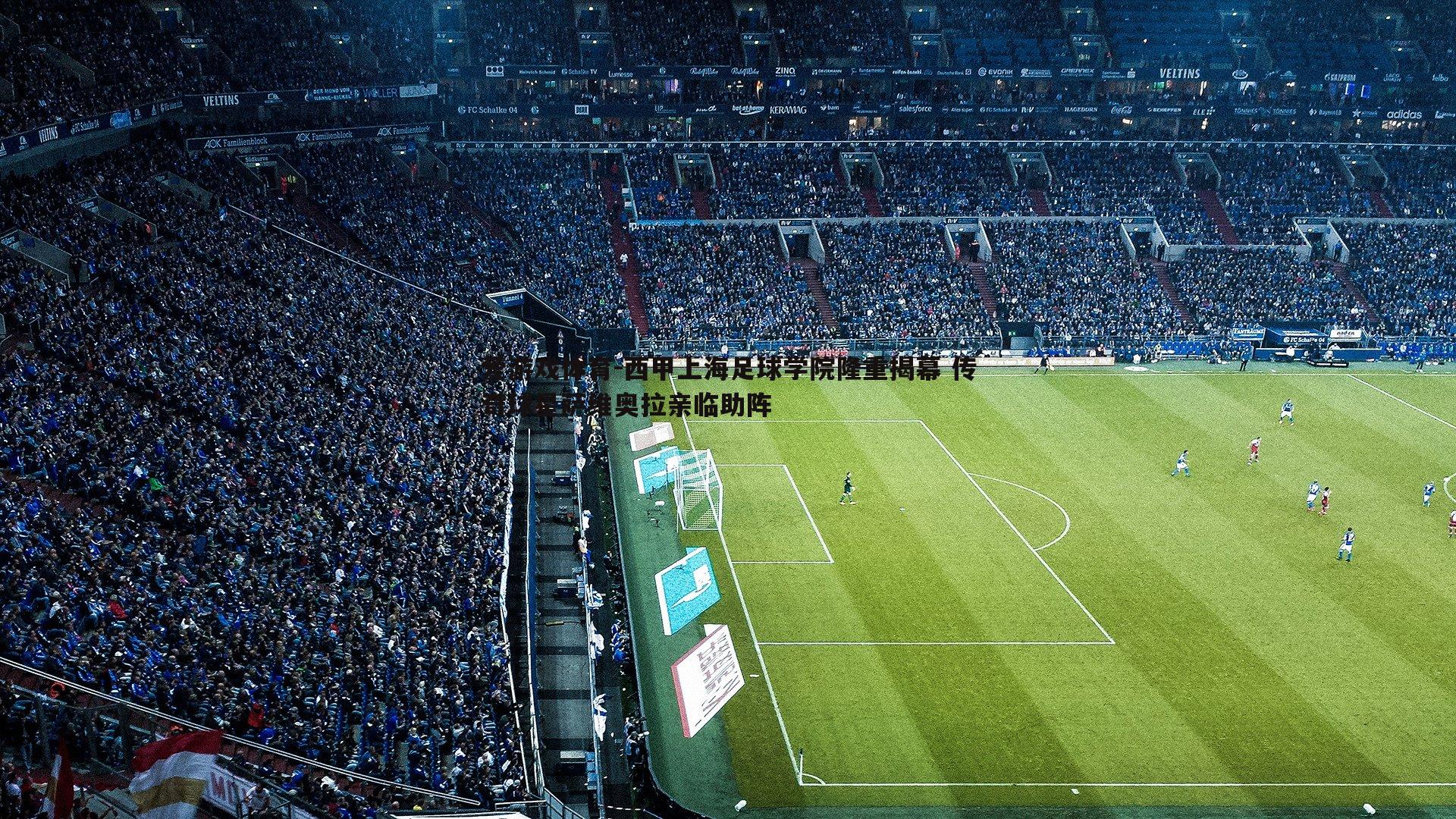 西甲上海足球学院隆重揭幕 传奇球星萨维奥拉亲临助阵